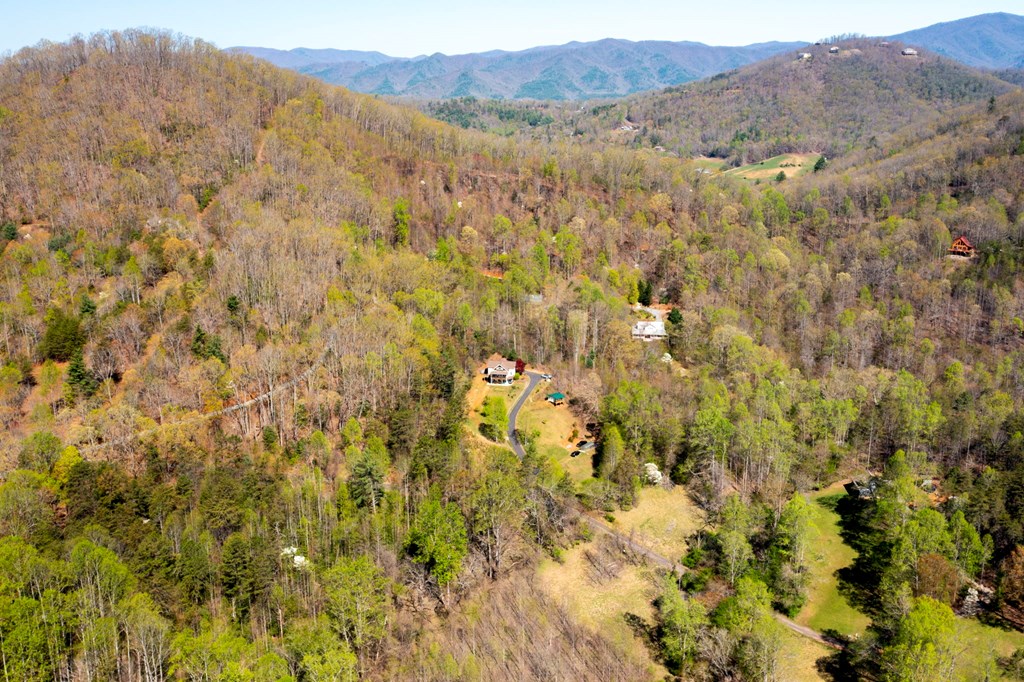 105 Sharons Valley Drive Property Photo 48