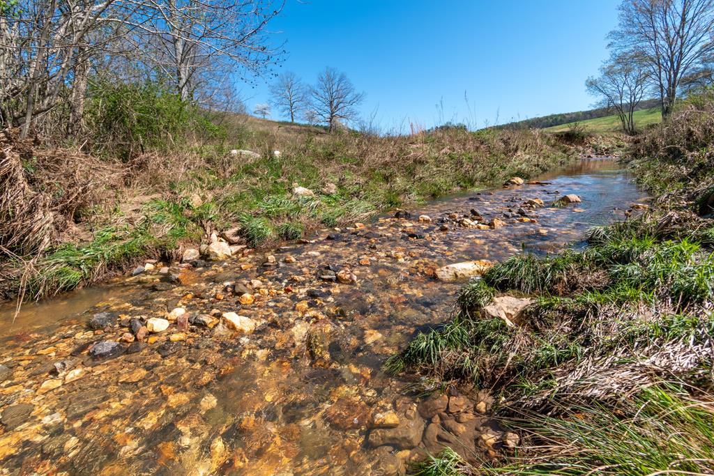 13.75ac Tipton Springs Road Property Photo