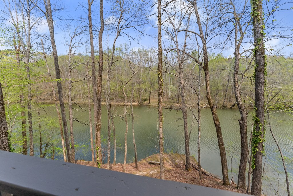 307 Eagle Overlook Drive Property Photo 34