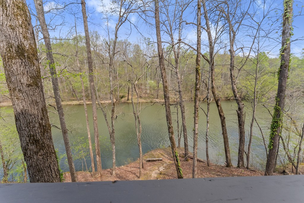 307 Eagle Overlook Drive Property Photo 35