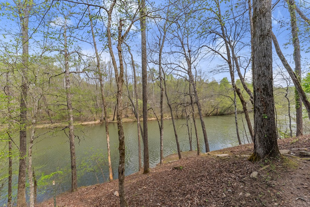 307 Eagle Overlook Drive Property Photo 36