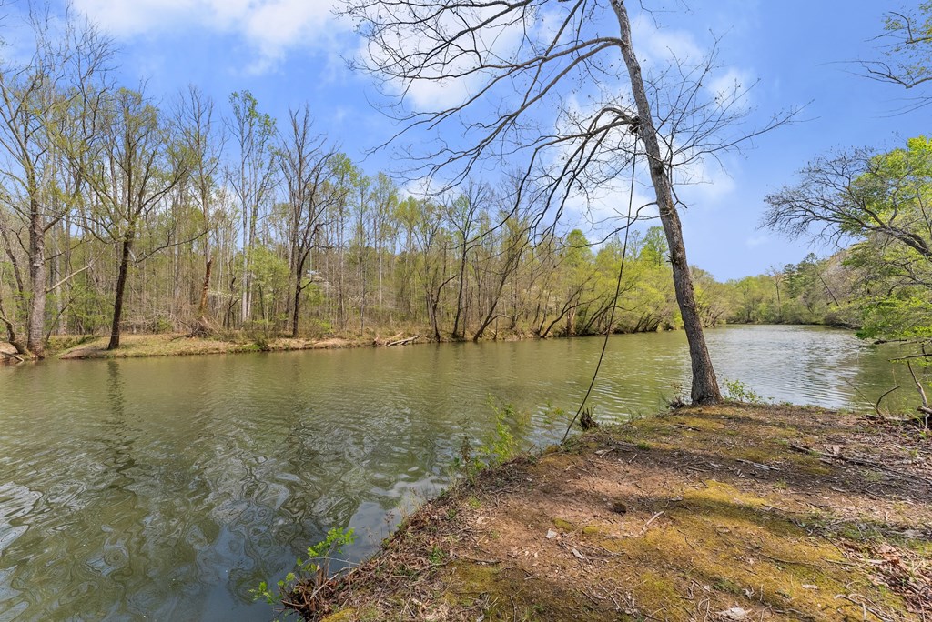 307 Eagle Overlook Drive Property Photo 38