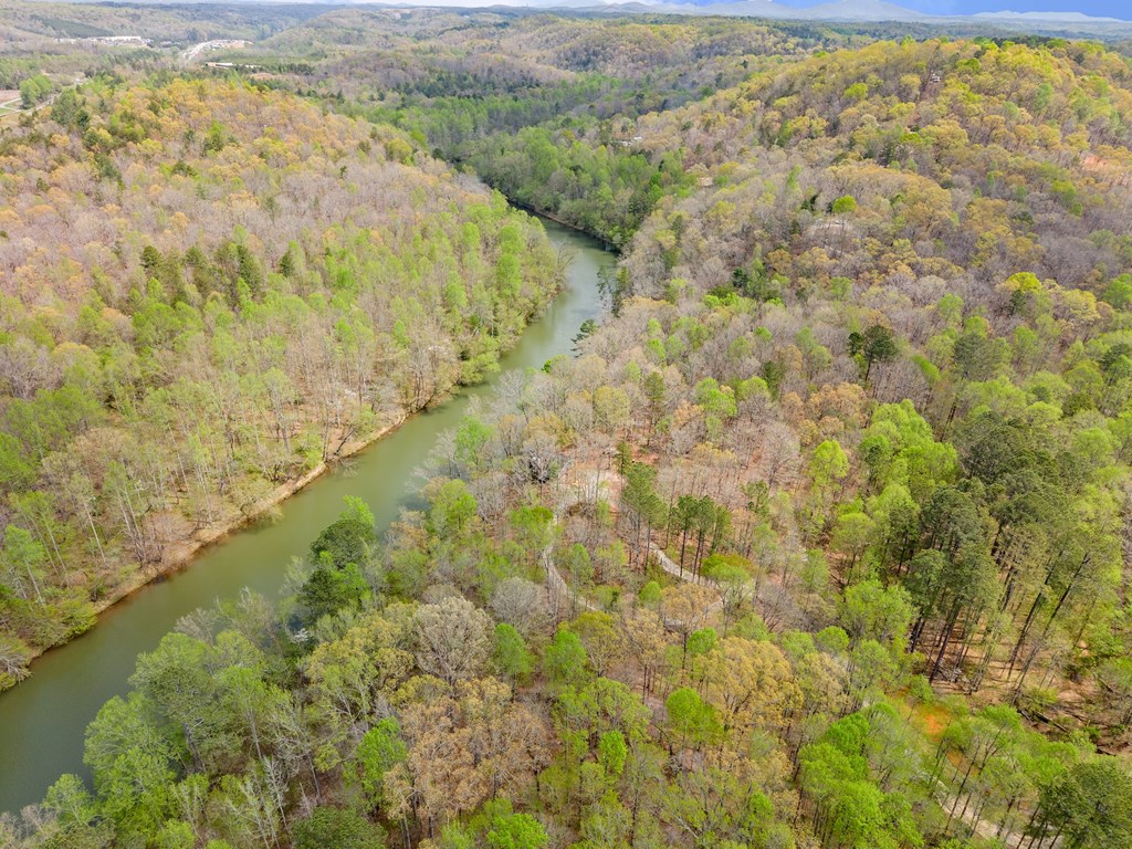 307 Eagle Overlook Drive Property Photo 49