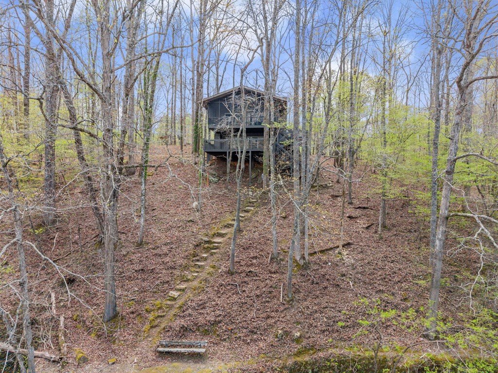 307 Eagle Overlook Drive Property Photo 57