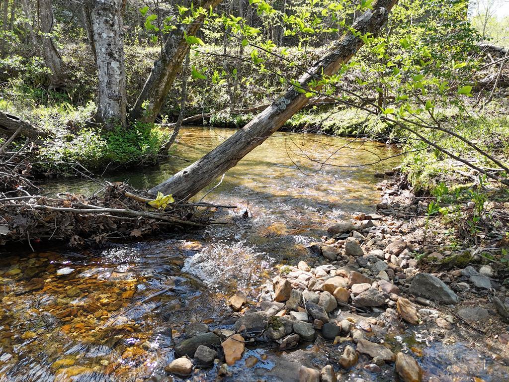 Lot 2 Mulky Gap Road Property Photo