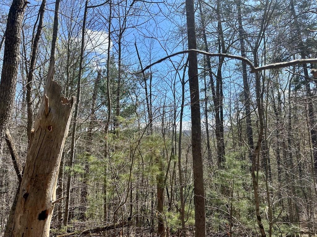 Lot 3 Mulky Gap Road Property Photo
