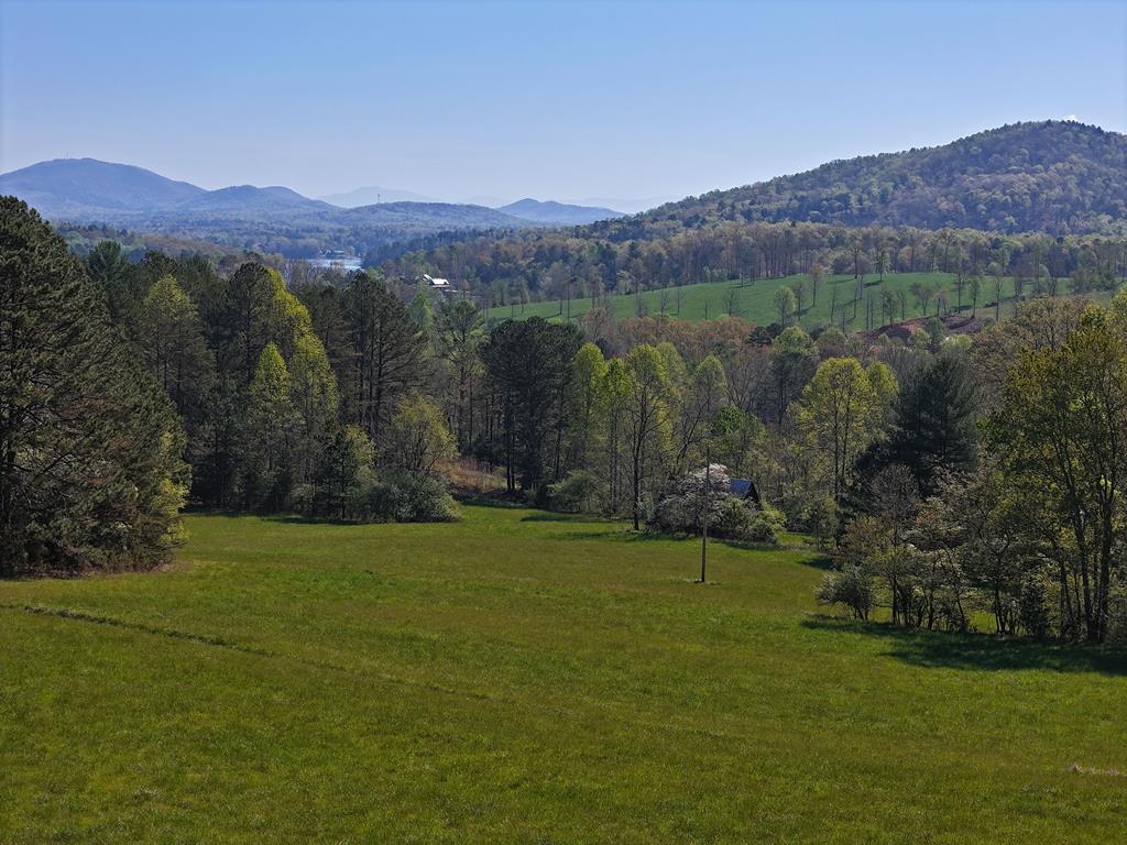 1489 Boy Scout Road Property Photo