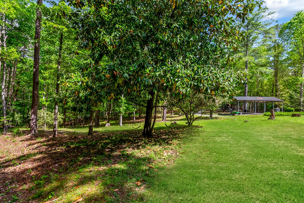 125 Spivey Ridge Road Property Photo 4