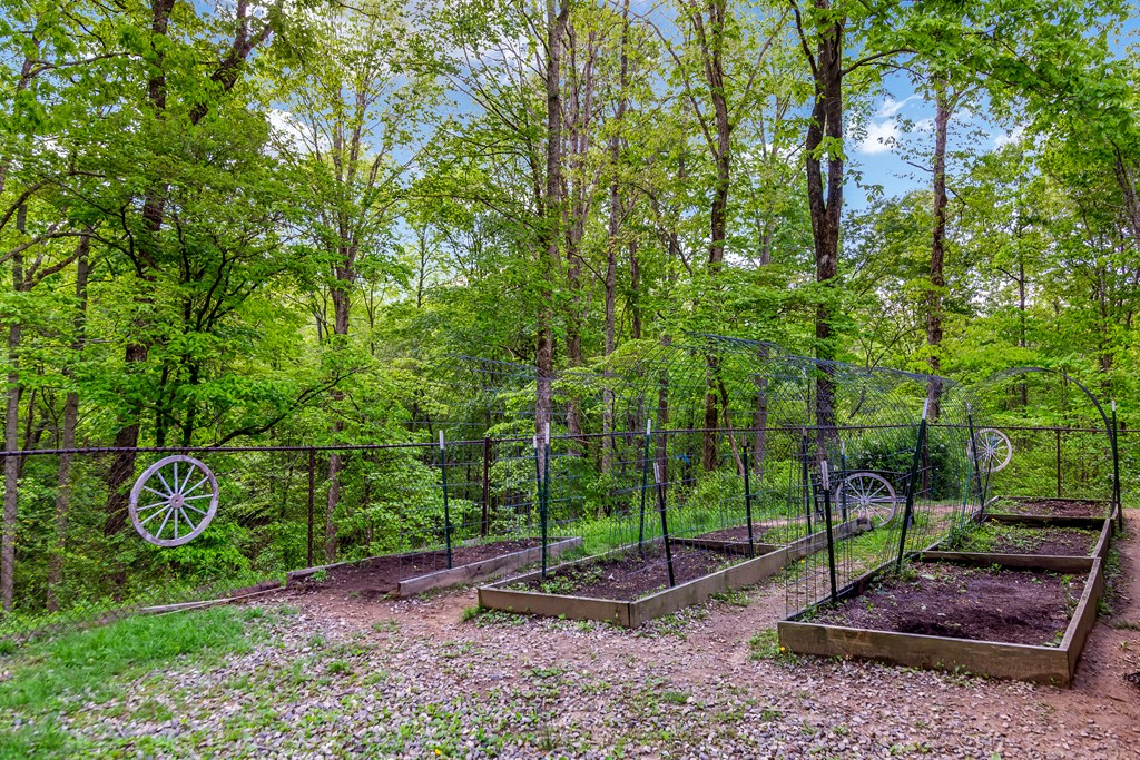 125 Spivey Ridge Road Property Photo 5
