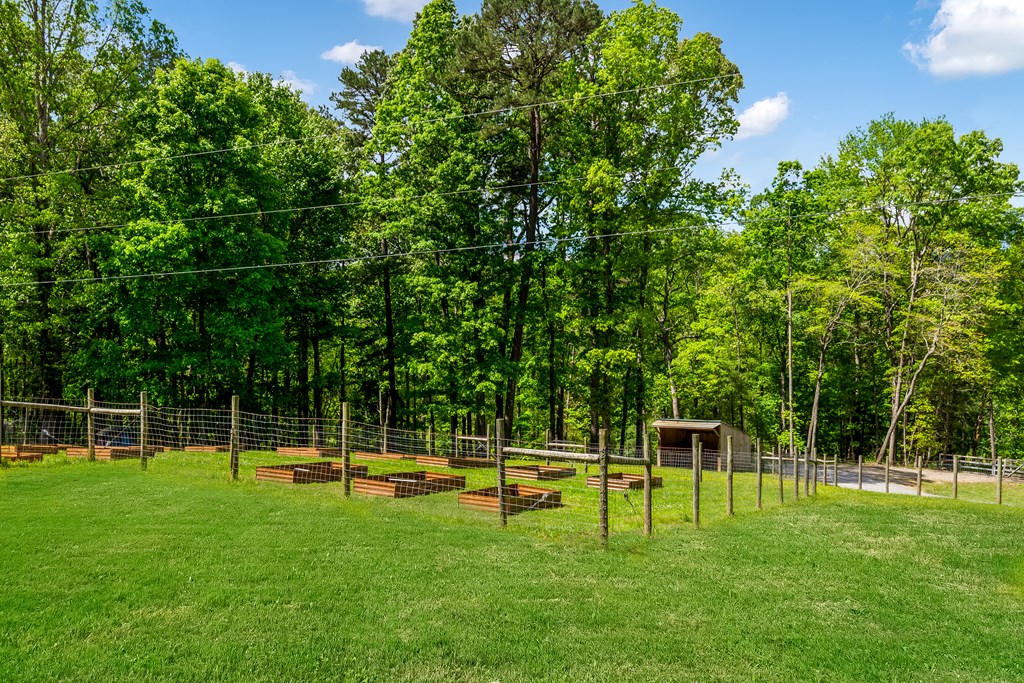 125 Spivey Ridge Road Property Photo 6