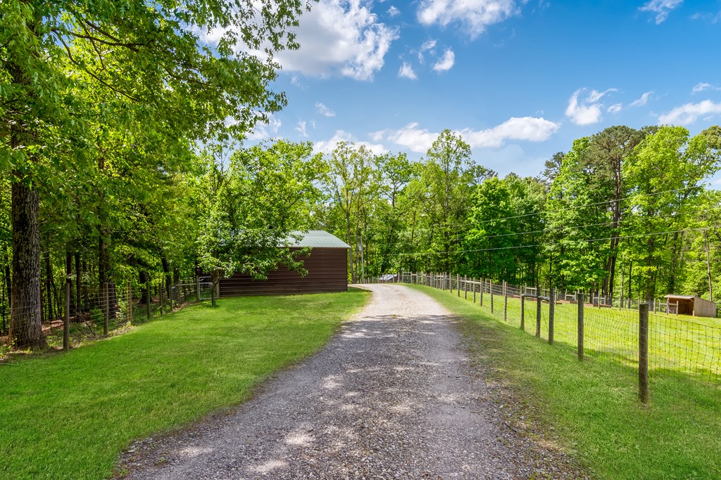 125 Spivey Ridge Road Property Photo 7