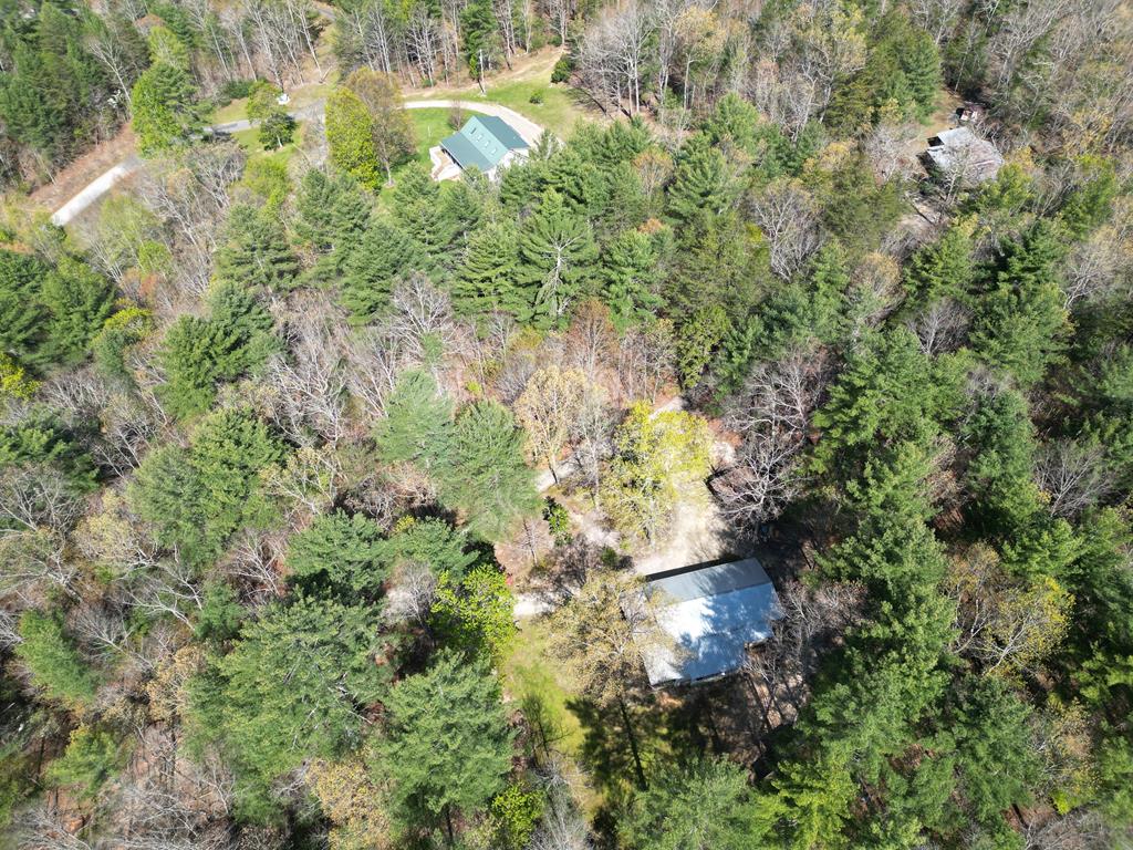 125 Spivey Ridge Road Property Photo 58