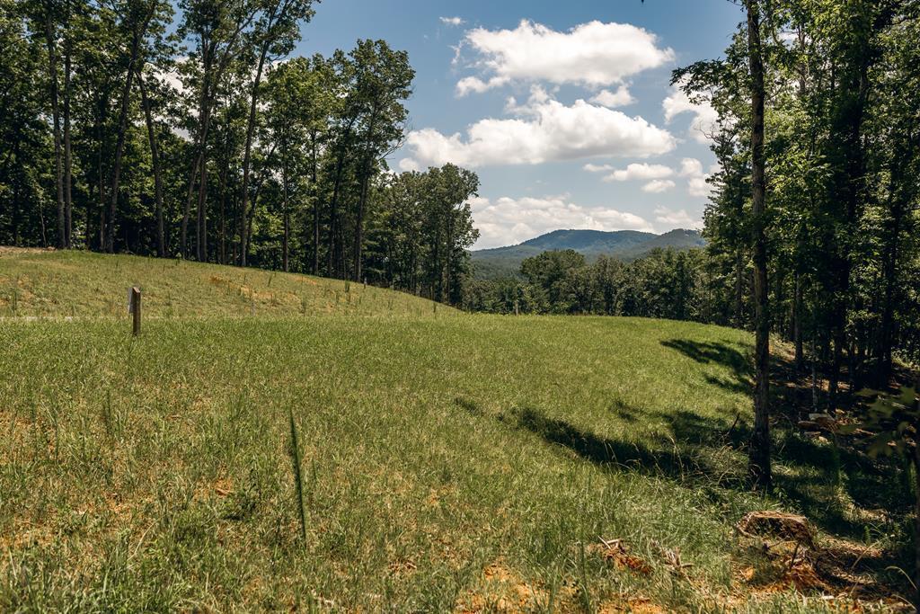 Lot 133 Ridges Of Blue Ridge Property Photo