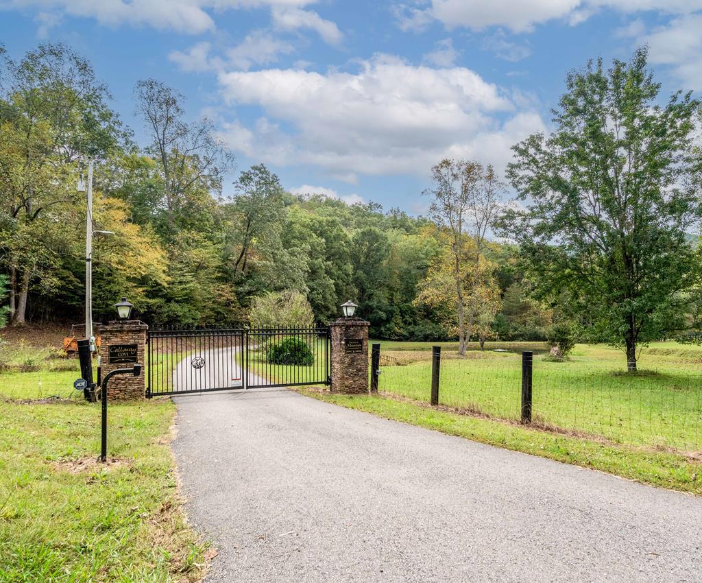 0 Calloway Cove Road Property Photo 1