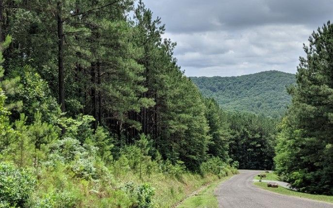 Lot 7 Ridge Top Drive Property Photo