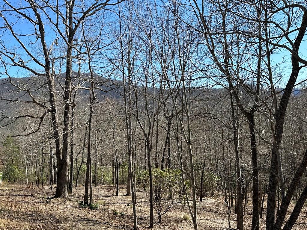 Lot 11 Asheland Cove Property Photo