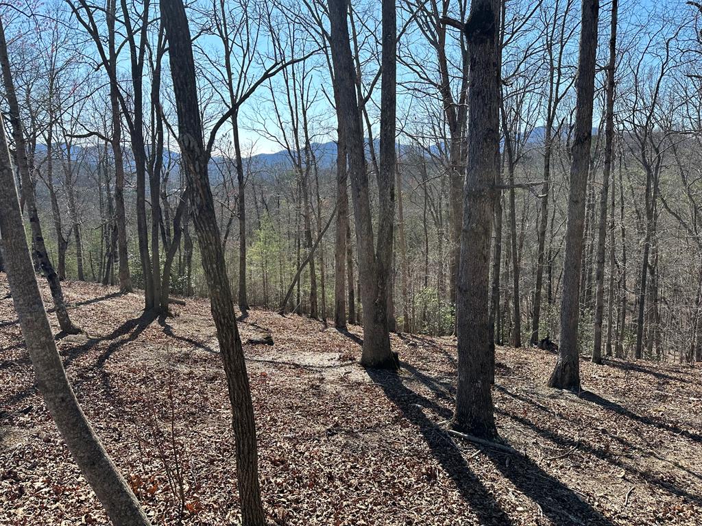 Lot 55 Asheland Cove Property Photo