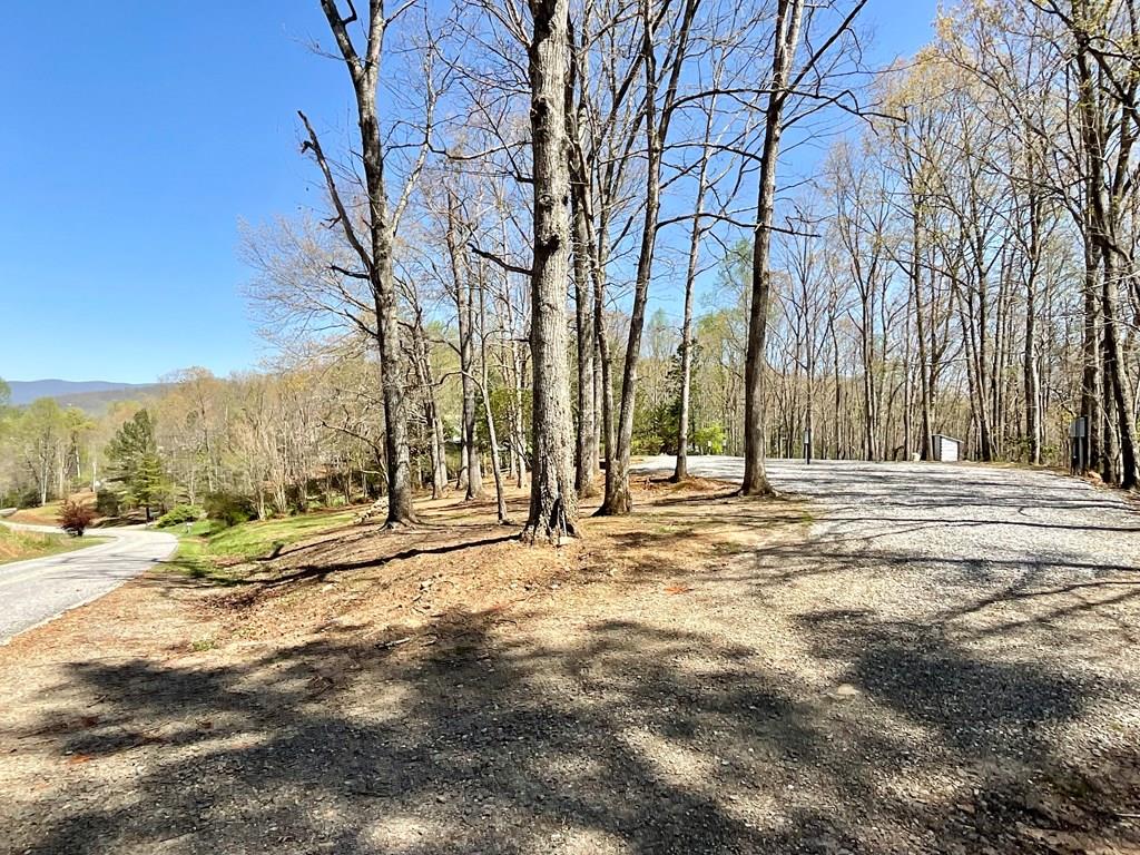 1017 Laurel Branch Road Property Photo