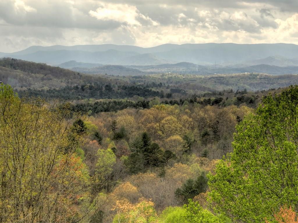 Lot 51 Upper Ridge Trail Property Photo
