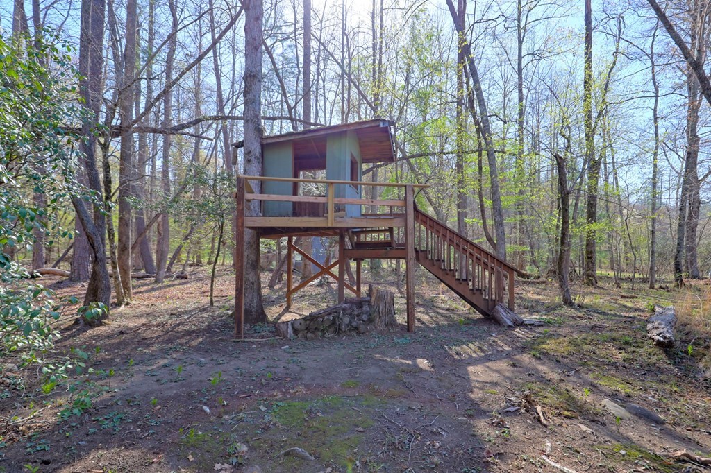 4475 Fires Creek Road Property Photo 6
