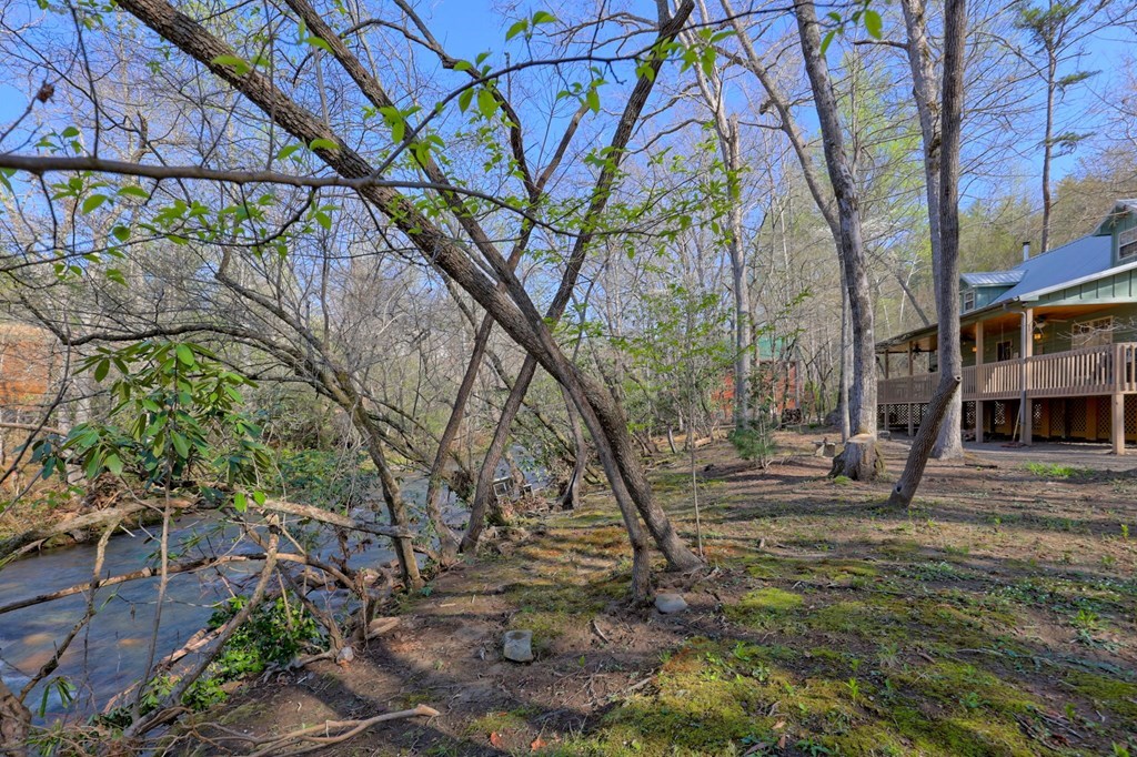 4475 Fires Creek Road Property Photo 83