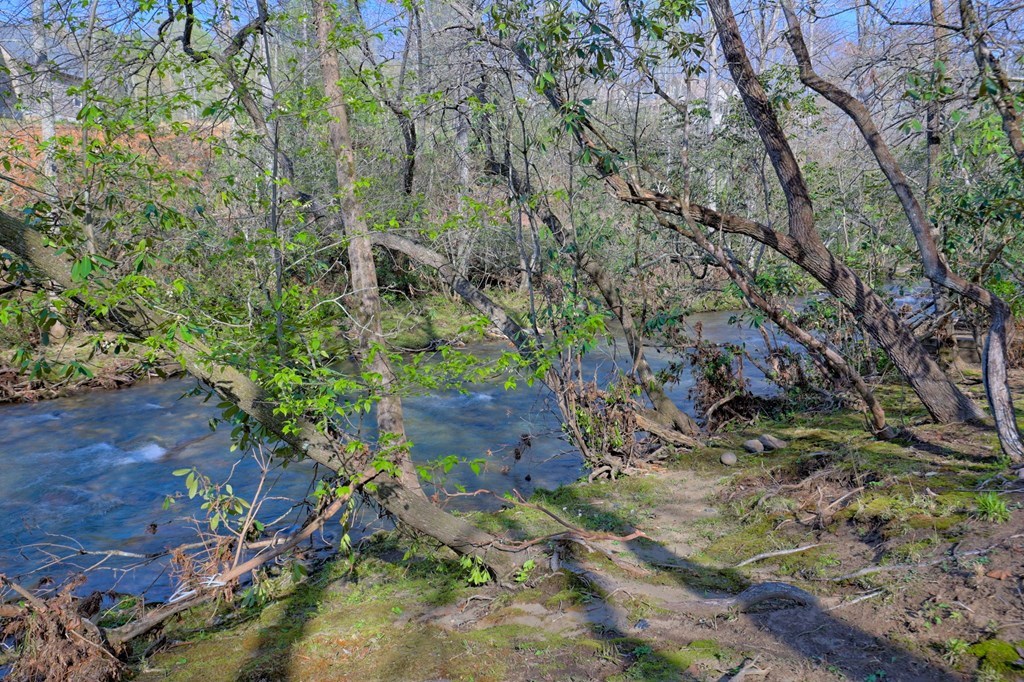 4475 Fires Creek Road Property Photo 84