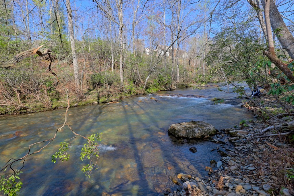 4475 Fires Creek Road Property Photo 87