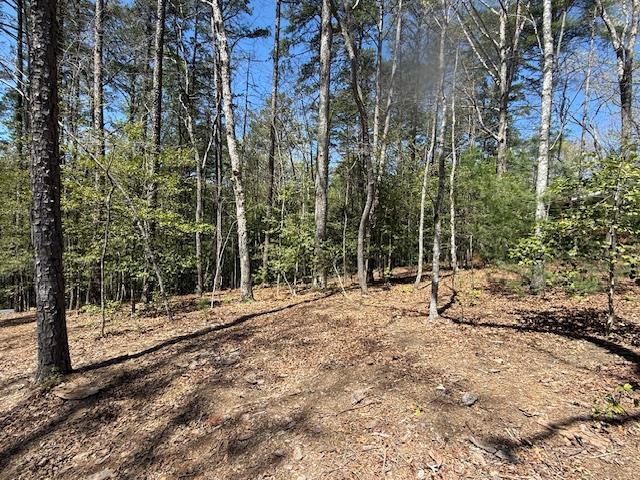 Lot 2 Lynae Lane Property Photo 1