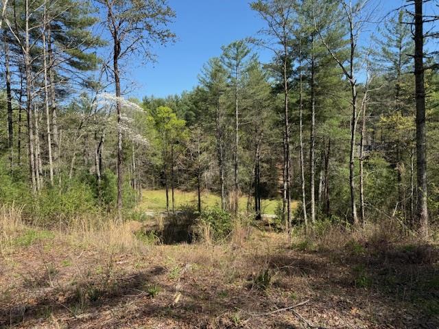Lt 29a&b Cabernet Way Property Photo