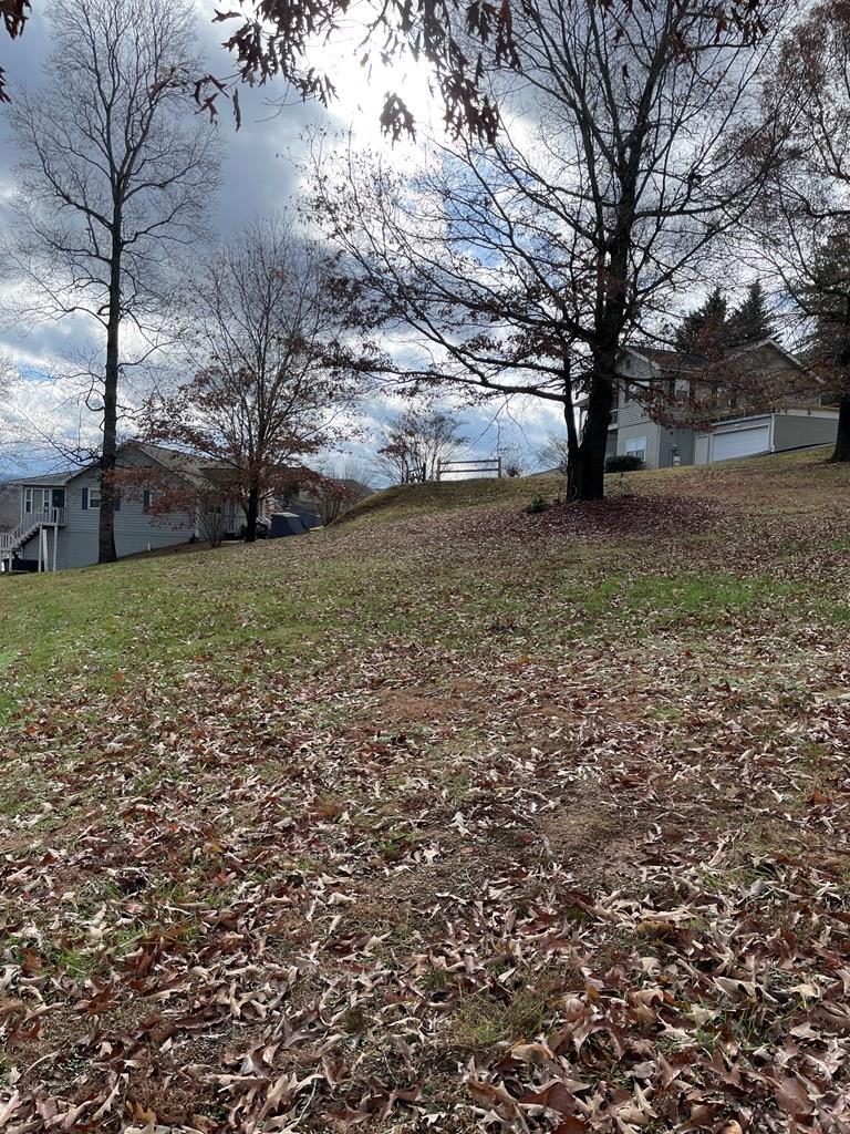 0 Skipper Lane Property Photo 5