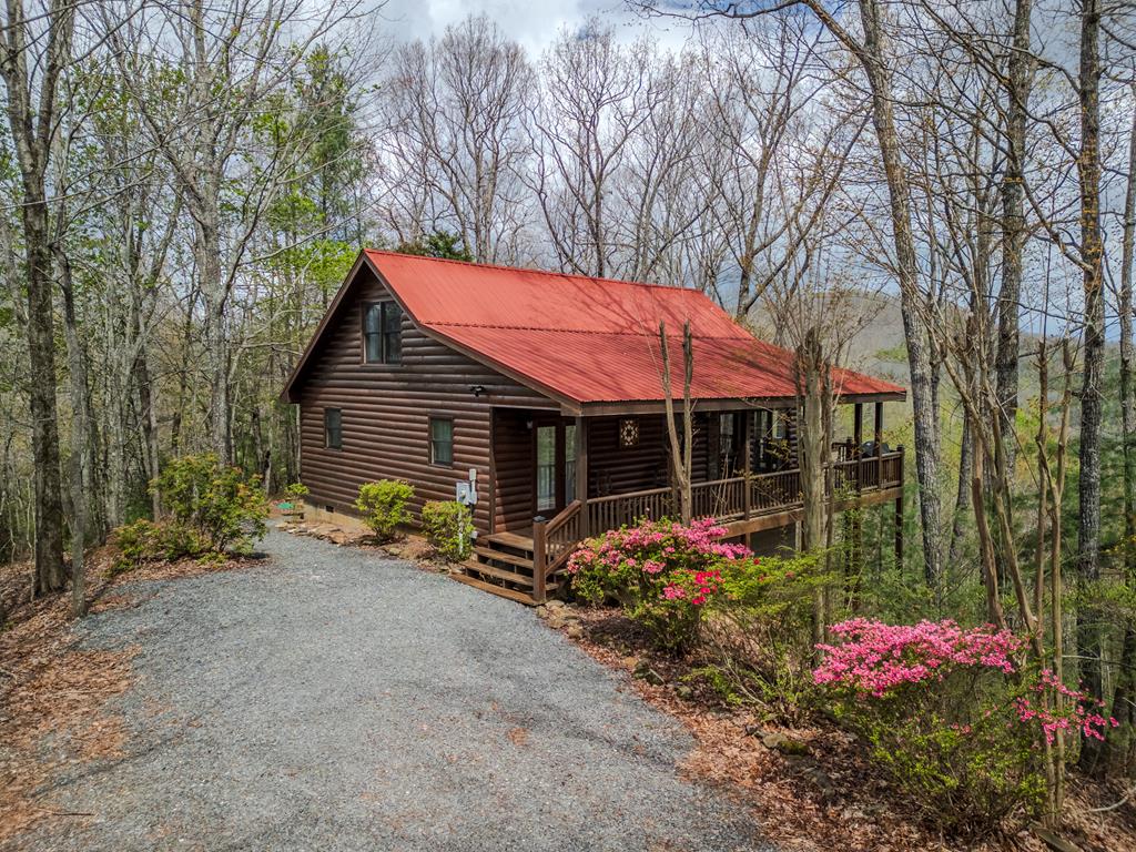 507 Bushy Head Road Property Photo
