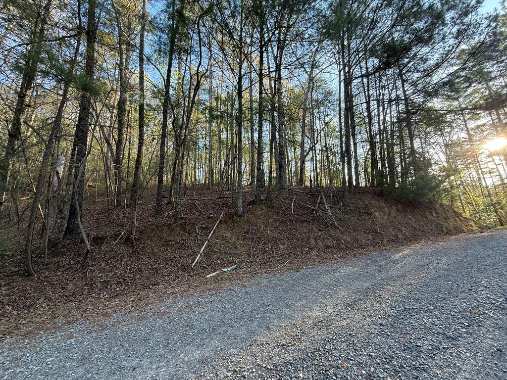 Ellijay Real Estate Listings Main Image