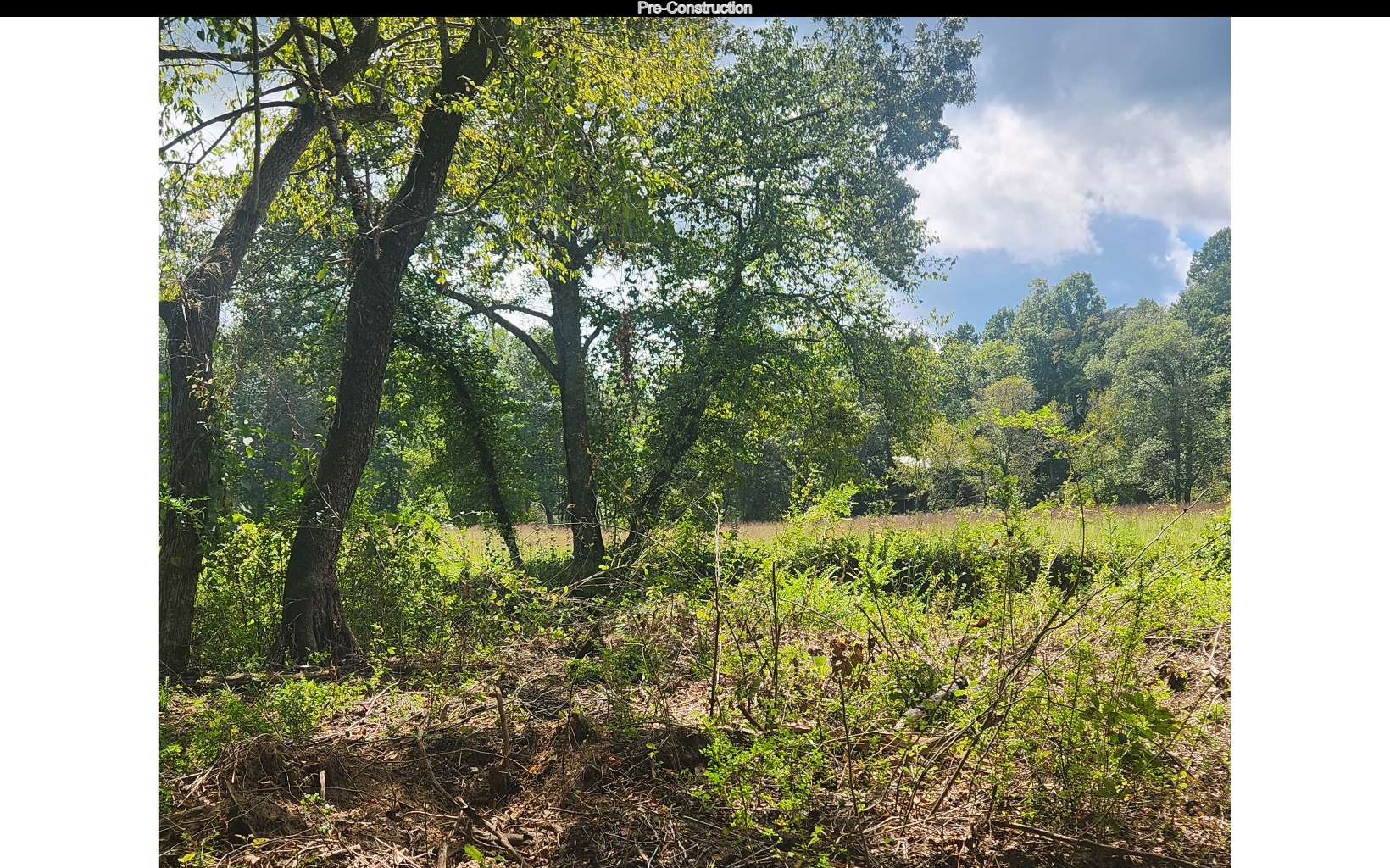 100 Tr1 Trails End Property Photo 13