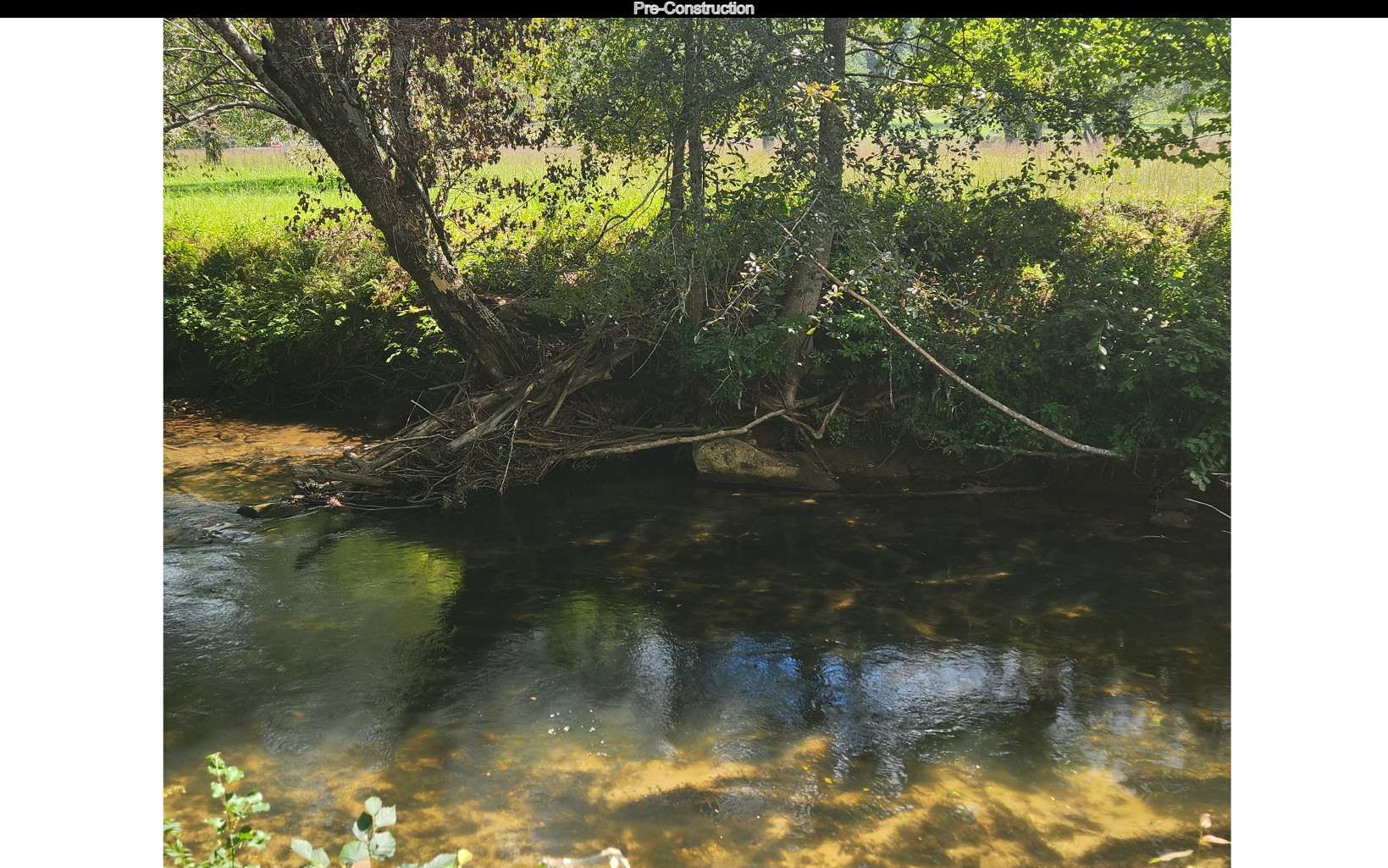 100 Tr1 Trails End Property Photo 15