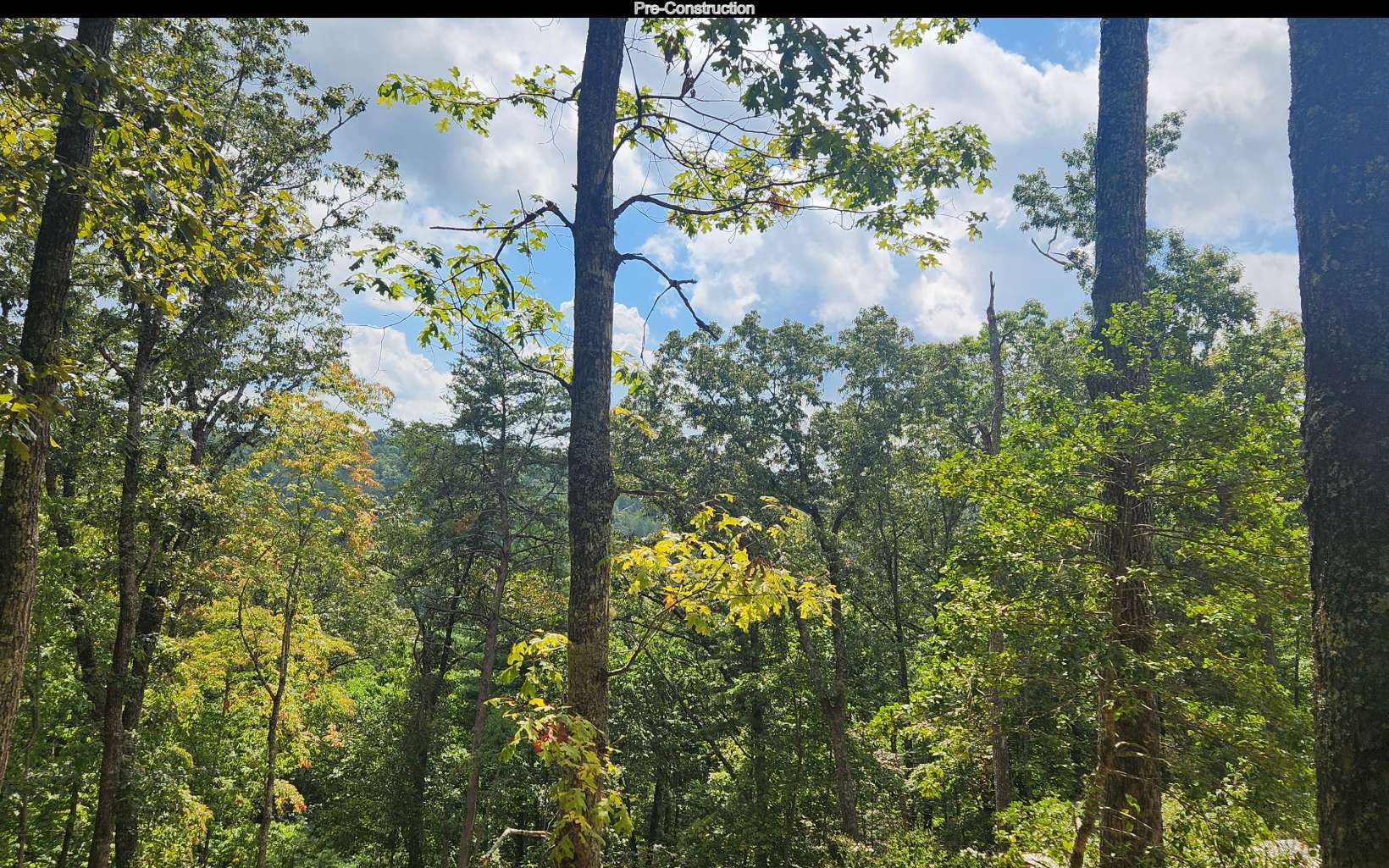100 Tr1 Trails End Property Photo 16