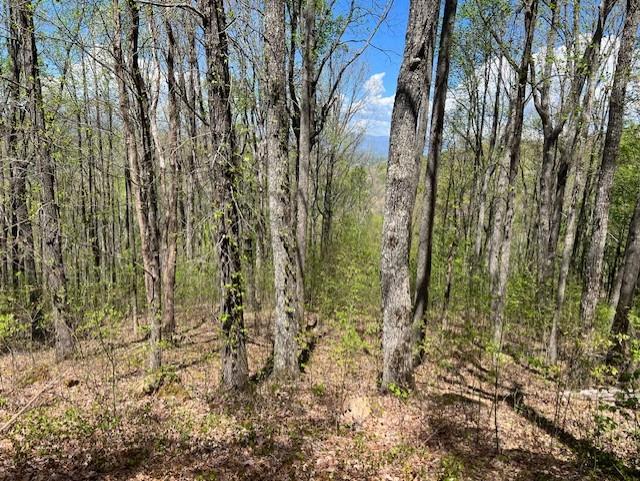 Lot 86 Rocky Knob Estates Property Photo