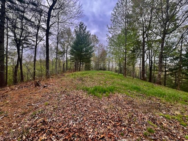 Tr1-23 Majestic Mountain Trail Property Photo