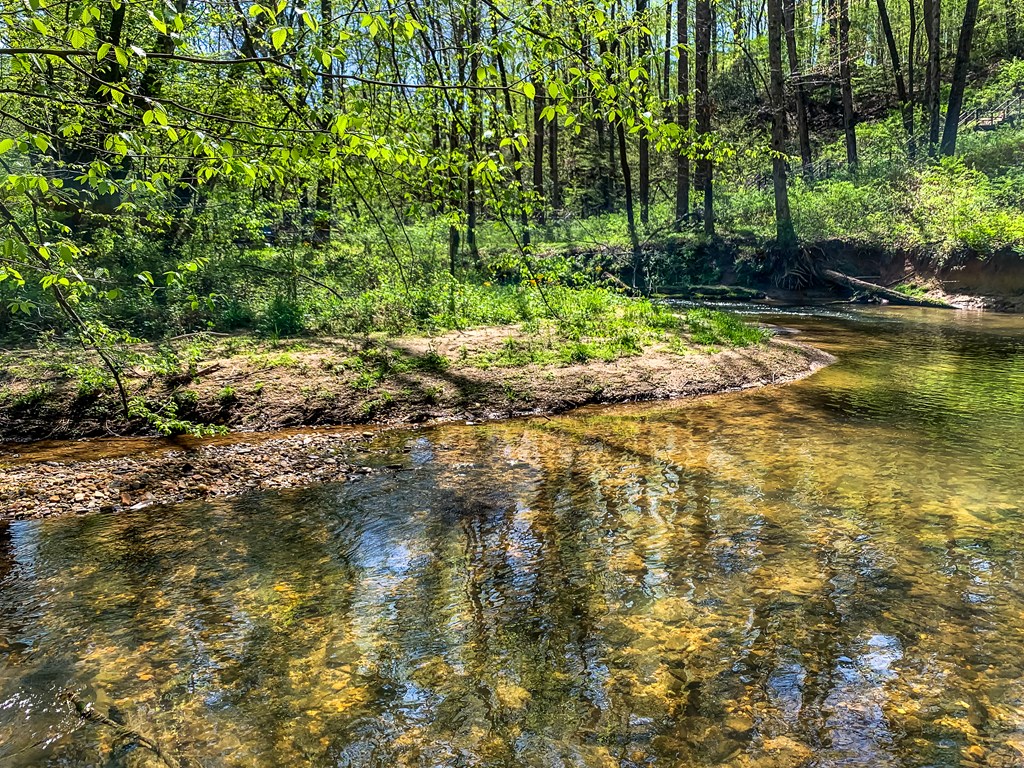428 Licklog Road Property Photo 46