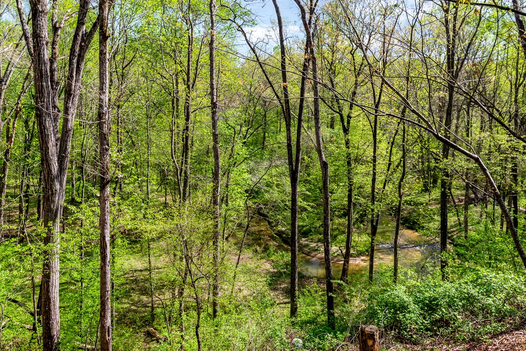 428 Licklog Road Property Photo 59