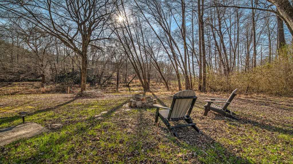141 Mountain Rivers Road Property Photo 19