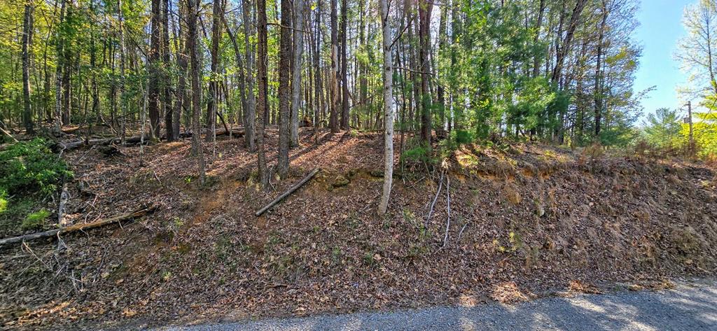 P12 Goldmine Drive Property Photo