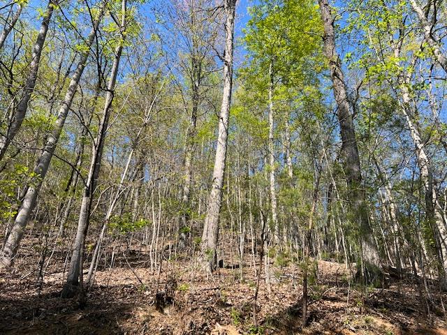 Lot 2B Grandview Drive Property Photo 1