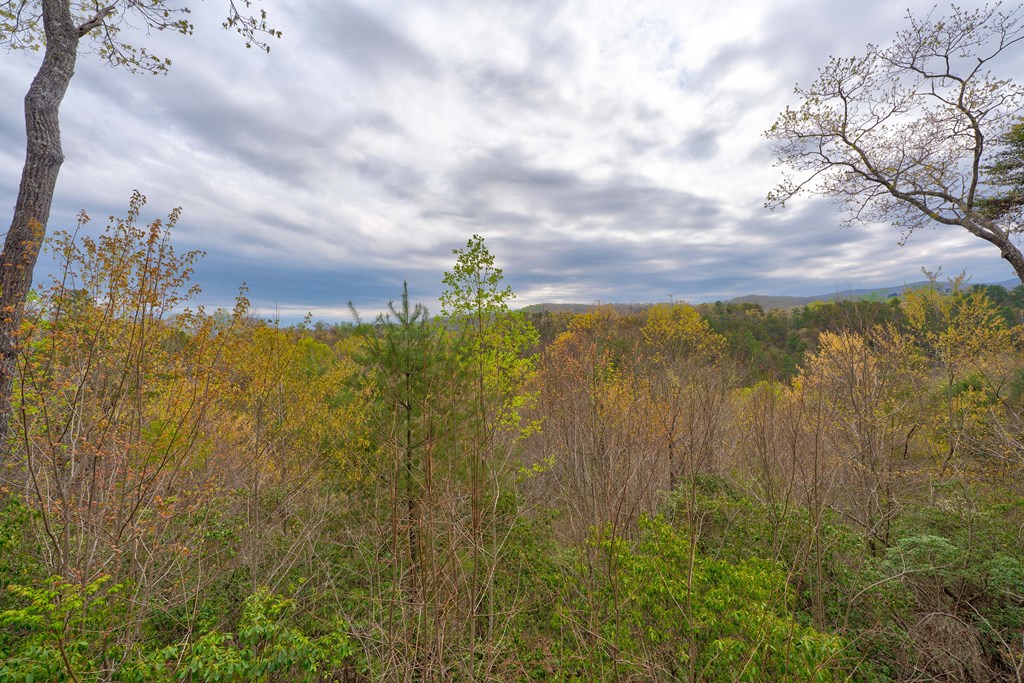 787 Choctaw Ridge Property Photo 5