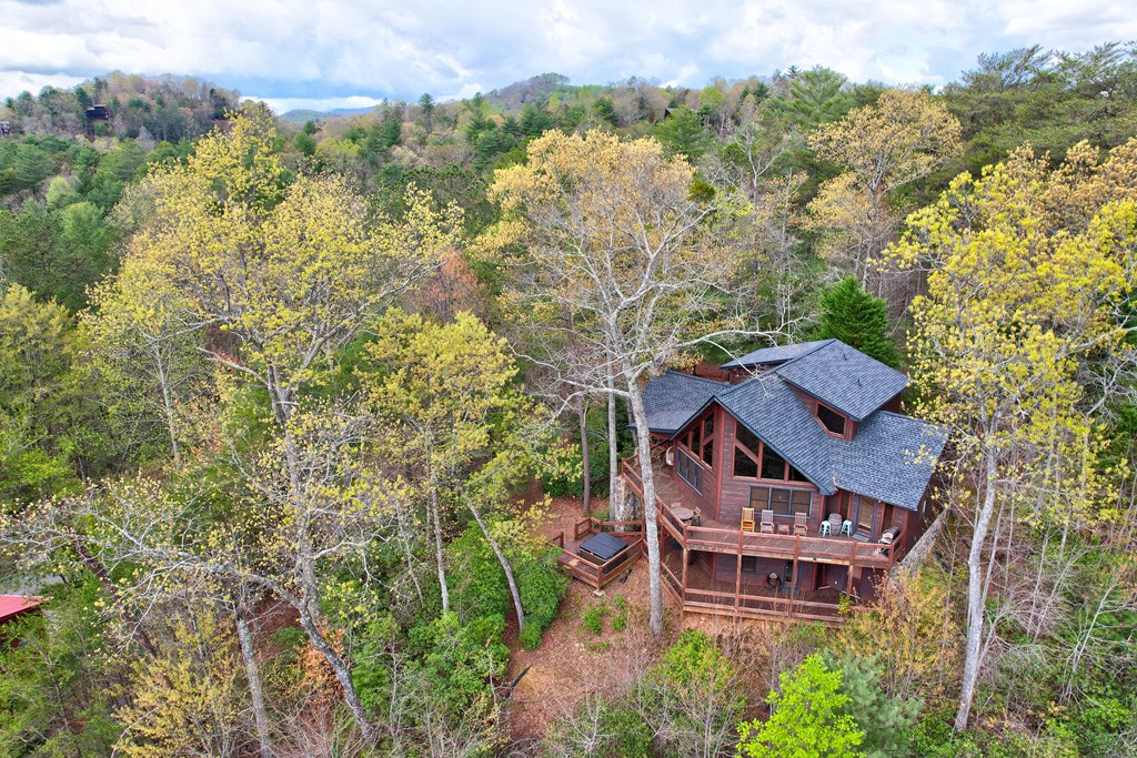 787 Choctaw Ridge Property Photo 22