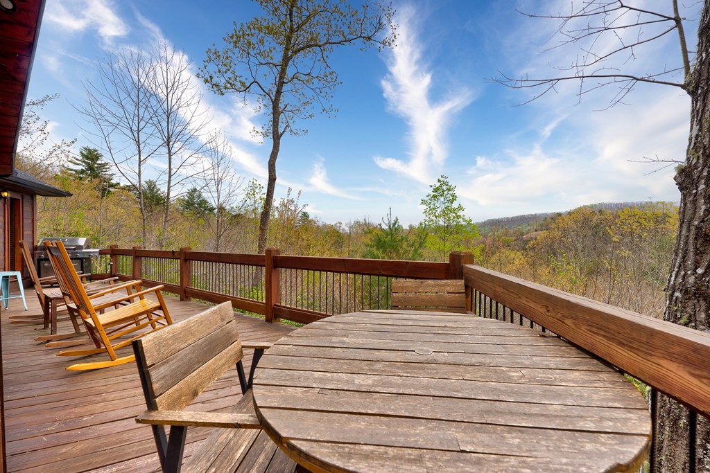 787 Choctaw Ridge Property Photo 29