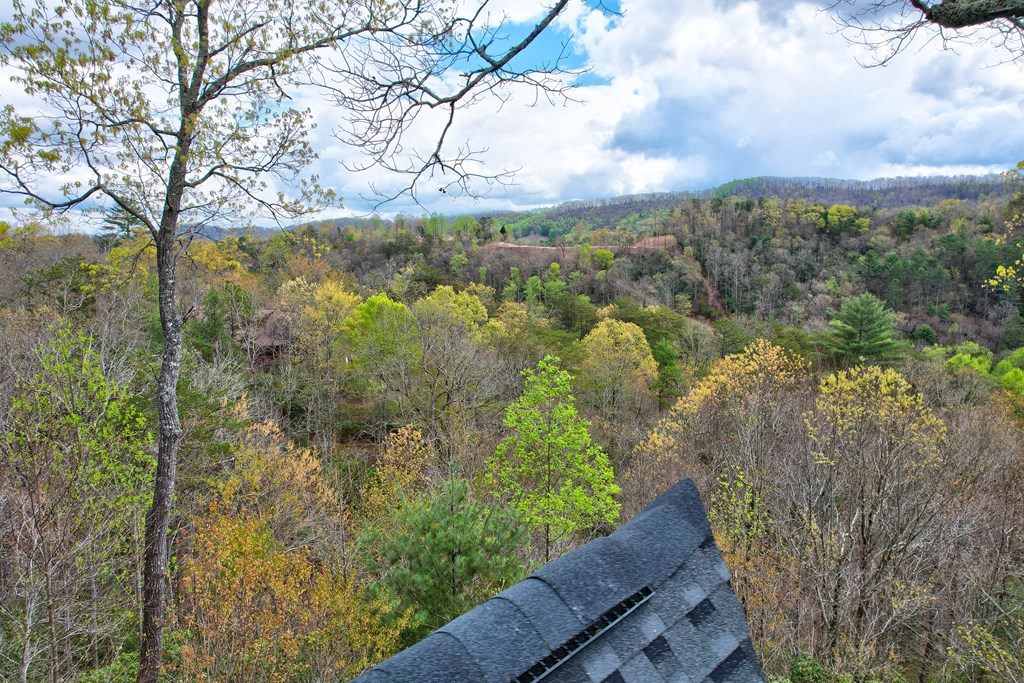 787 Choctaw Ridge Property Photo 68