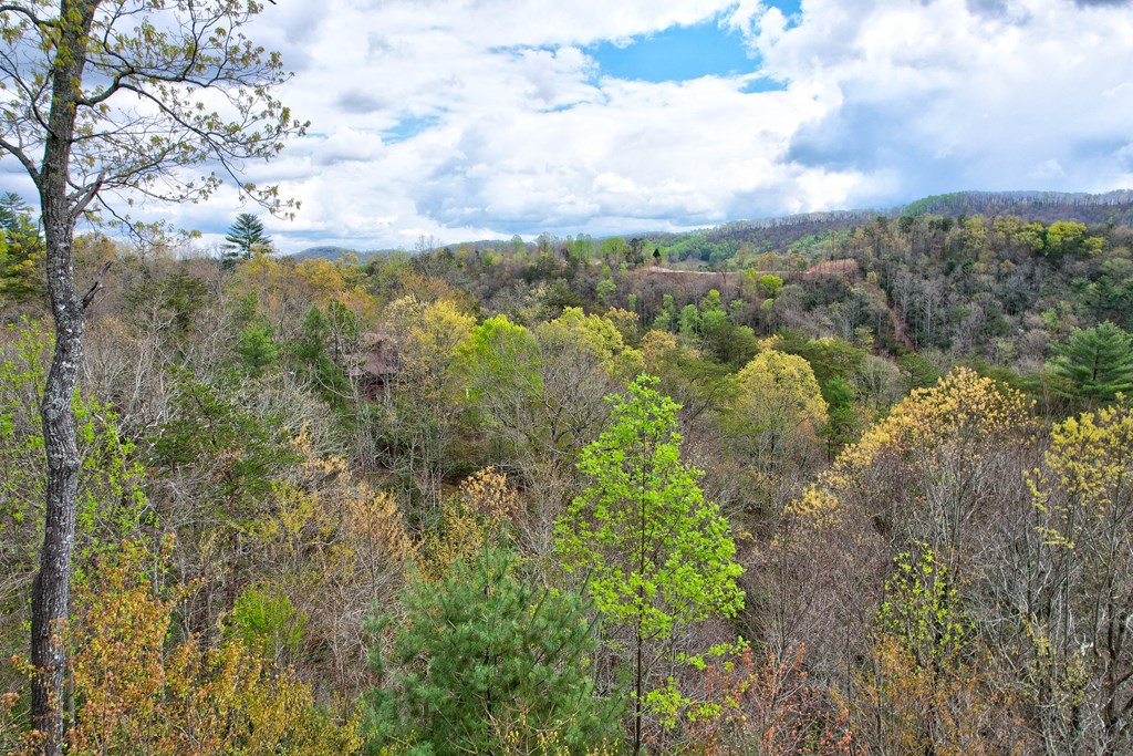 787 Choctaw Ridge Property Photo 69
