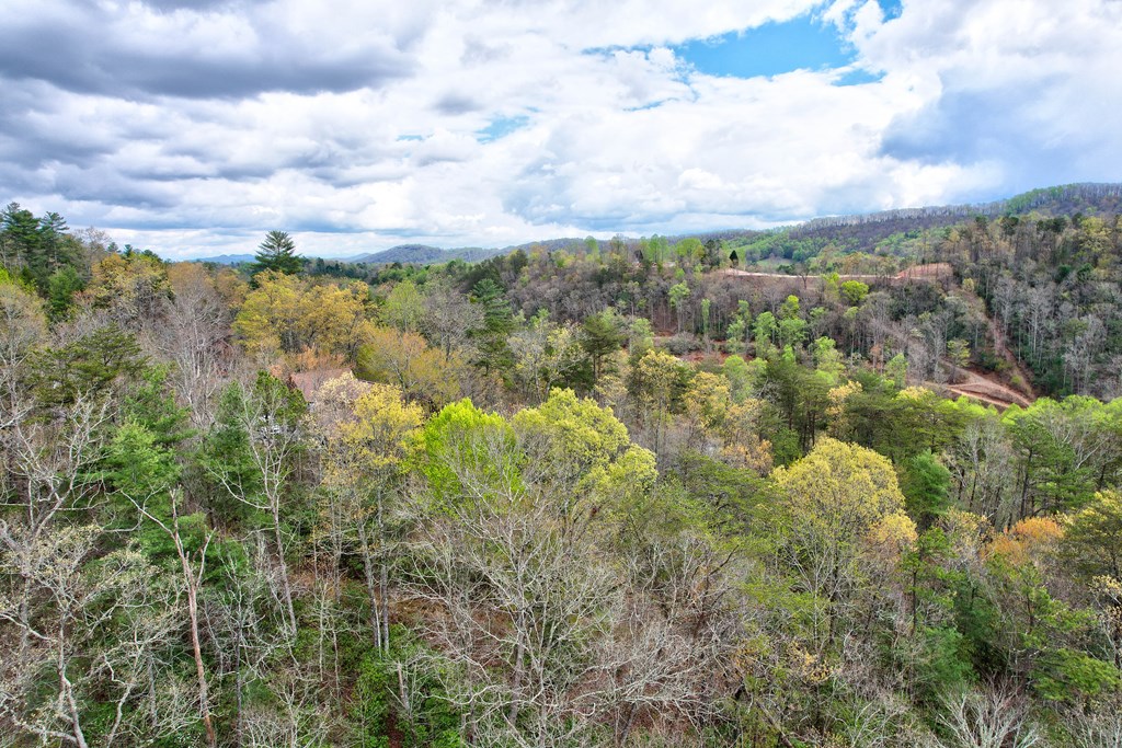 787 Choctaw Ridge Property Photo 70