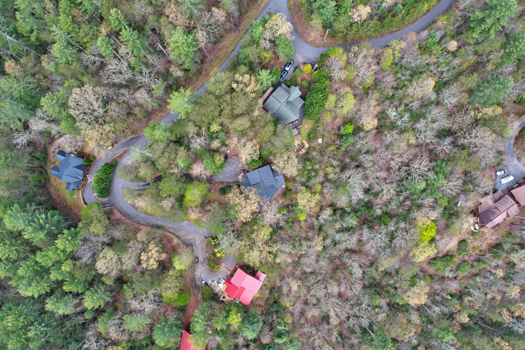787 Choctaw Ridge Property Photo 71