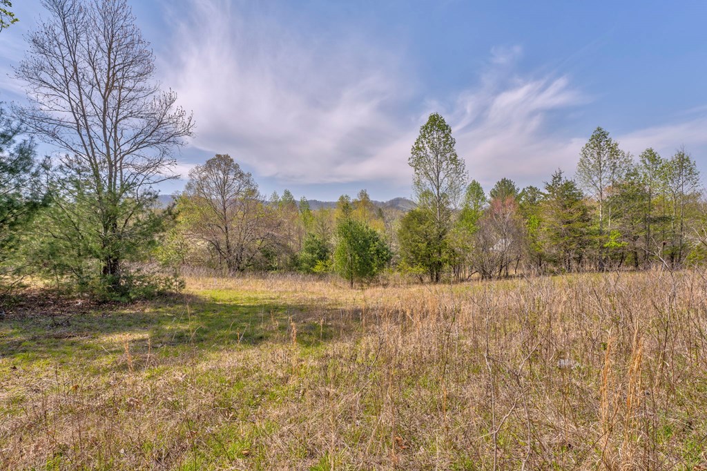 365 Waters Road Property Photo 17